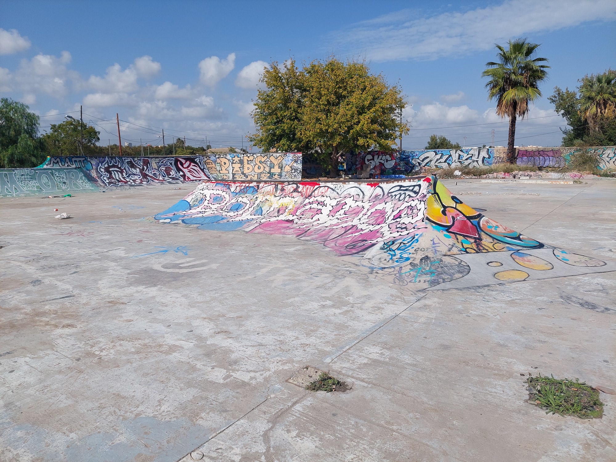 Cementerio DIY skatepark